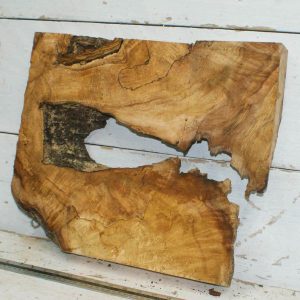 Sycamore 460x385-300x50 378