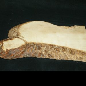 Sycamore Large Chunky Chopping Block 192