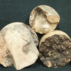 Elm Burr Timber 33 Fronts