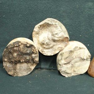 Elm Burr Timber 34 Front All