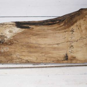 Spalted Beech 140