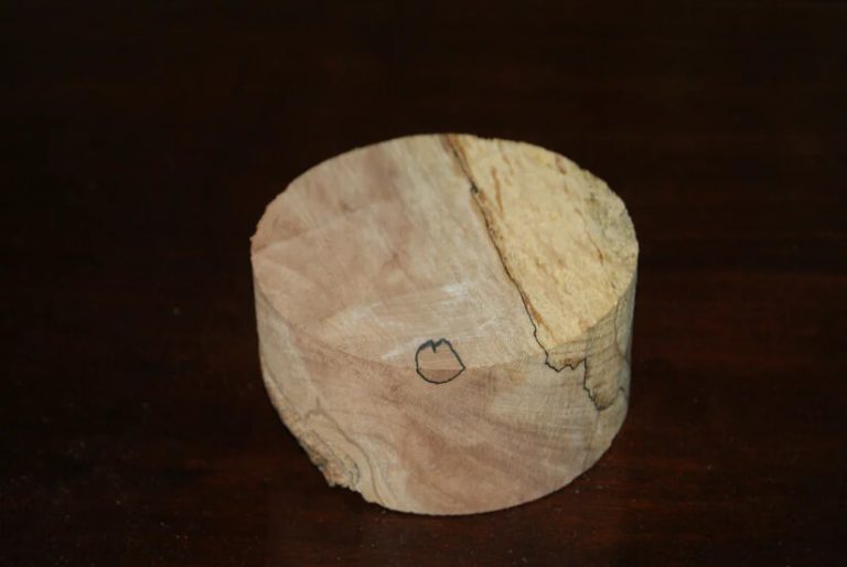 C Grade spalted beech wood turning blank 108 B